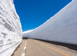 Visit Tateyama Snow Corridor, Japan