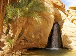Visit Chebika Oasis, Tozeur, Tunisia