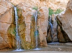 Visit Tamerza Oasis & Tamaghza Canyon, Tunisia