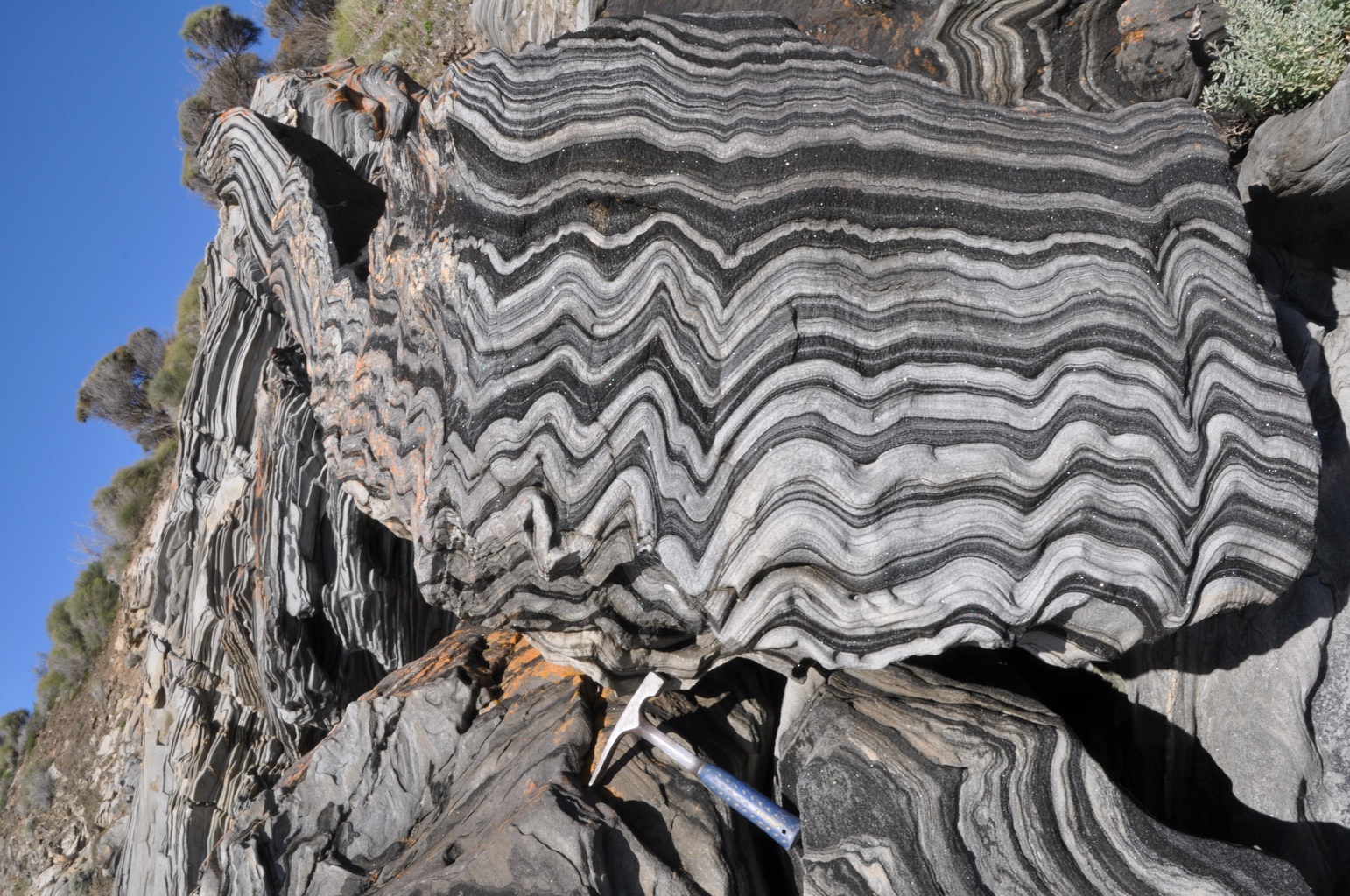 Zebera Roch Zebra Schist (Zebra Rock)