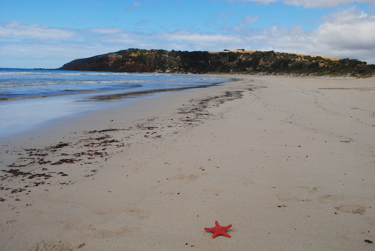 Snelling Beach Snelling Beach