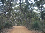 Camp at Harvey Return Campground, Kangaroo Island, South Australia