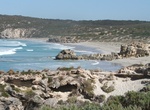 Visit Pennington Bay Beach, Kangaroo Island, South Australia