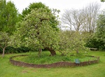 See Isaac Newton's Apple Tree, Grantham, England