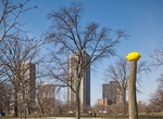 See Lemon Tree, Lincoln Park, Chicago, Illinois