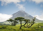 Visit Pico Island, Azores, Portugal