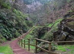 Explore Furna do Enxofre, Caldeira Massif, Graciosa Island, Azores, Portugal