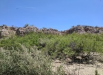 Explore Mesilla Valley Bosque State Park, Las Cruces, New Mexico