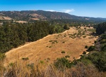Hike Garland Ranch to Sniveley's Ridge, Garland Ranch Regional Park, Carmel Valley, California