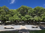 See Lahaina Banyan Tree, Lahaina, Hawaii
