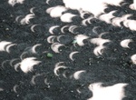 See Solar Eclipse Tree Leave Pinhole Camera Affect