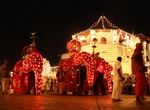 Attend Kandy Esala Perahera (The Festival of the Tooth), Kandy, Sri Lanka