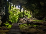 Explore Niah National Park (Niah Great Cave), Malaysia
