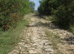 See Drumul Romanilor (Roman Road), Geoagiu, Romania