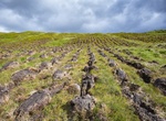 Explore Caithness and Sutherland Peatlands, Scotland