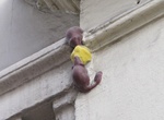 See Philpot Lane Mice Sculpture, London, England