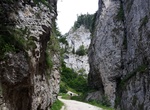 Visit Prăpăstiile Zărneștilor, Piatra Craiului Mountains, Romania