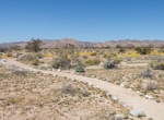 Hike Bajada Nature Trail, Joshua Tree National Park