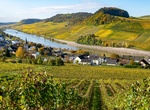 Wine Tasting in District Obermosel, Nittel, Germany
