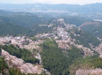 Explore Mount Yoshino, Nara, Japan (UNESCO site)