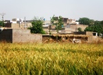 See Seri Bahlol, Pakistan (UNESCO site)