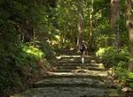 See Nachi Primeval Forest, Wakayama, Japan (UNESCO site)