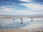 Visit Laguna Chaxa, San Pedro de Atacama, Chile