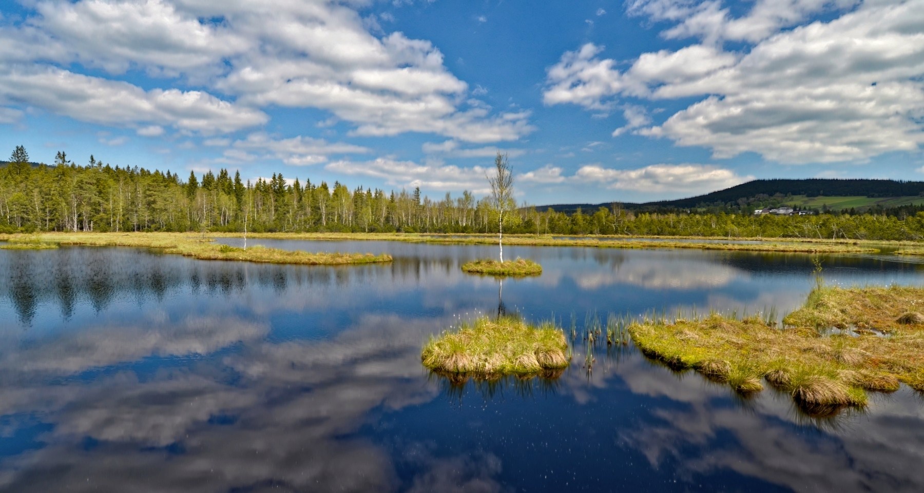 Šumava National Park