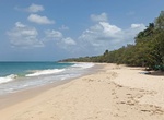 Visit Plage des Salines, Sainte-Anne, Martinique