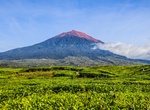 Explore Kerinci Seblat National Park, Sumatra, Indonesia (UNESCO site)