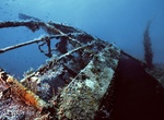 Wreck Dive River Taw Shipwreck, St Kitts