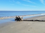 Visit Bloody Point Beach, Daufuskie Island, South Caralina