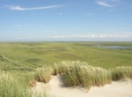 Explore Boschplaat, Terschelling, Netherlands