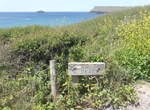 Hike Rock to Polzeath, Cornwall, England