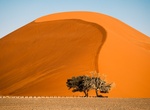 Visit Dune 45 Viewpoint (Sossusvlei), Namibia