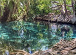 Visit Kikuletwa Hot Springs (Chemka Hot Springs), Tanzania