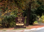 Visit Red Bud Picnic Ground, Sierra National Forest, El Portal, California