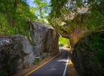 Drive though Arch Rock Entrance, Yosemite National Park, California