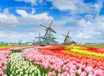Visit Zaanse Schans, Amsterdam, Netherlands