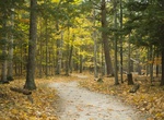 Explore Potawatomi State Park, Wisconsin