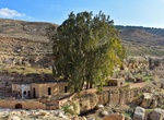 Visit Moses' Spring (Ayn Musa), Jordan