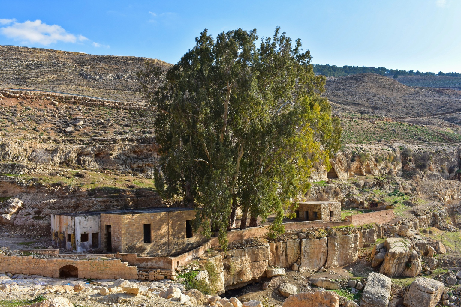 Ayn Spring Moses' Spring (Ayn Musa)