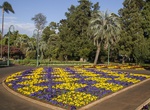 Attend Toowoomba Carnival of Flowers, Toowoomba, Queensland, Australia