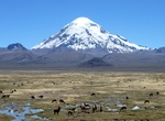 Explore Nevado Sajama, Sajama National Park, Bolivia