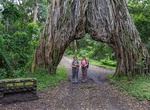 Visit Fig Tree Arch, Arusha National Park, Tanzania