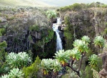 Hike to Nithi Falls, Mount Kenya, Mount Kenya National Park, Kenya