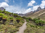 Hike Chogoria Route, Mount Kenya, Mount Kenya National Park, Kenya