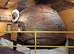 See Largest Nylon Twine Ball, Branson, Missouri