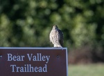 Hike Bear Valley Trail, Point Reyes National Seashore, California