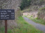 Hike Laguna-Coast Loop Trail, Point Reyes National Seashore, California